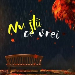Theo Rose - Nu Stii Ce Vrei