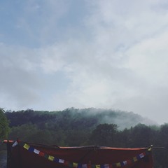 Bliss