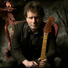 Hard Times Come Again No More: Drew Nelson