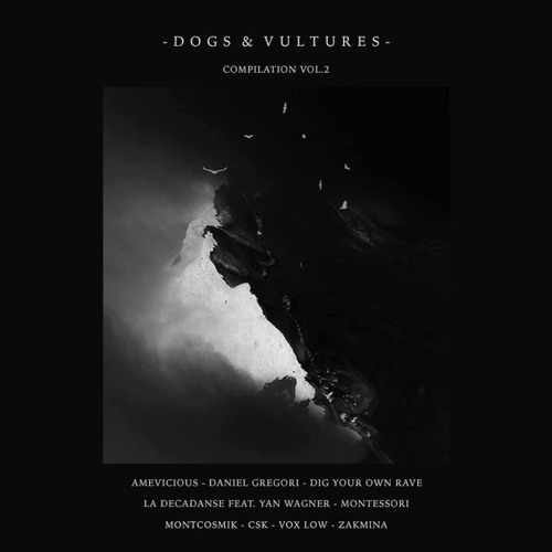 PREMIERE - Vox Low - Listen To The Cheerer (Dogs & Vultures)