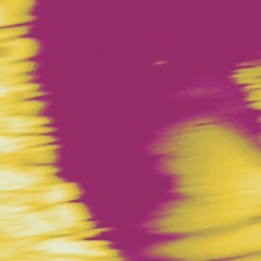 presidiomodelo - Wintering MMXIX