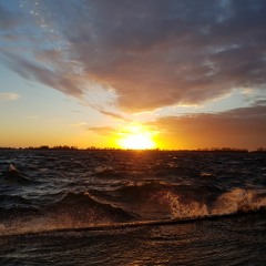 Waves