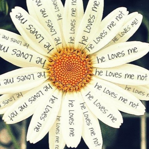 Stream Helovesmehelovesmenot Part 2 He Loves Me Not By Skadzysoprano By Skadzy Soprano Listen Online For Free On Soundcloud