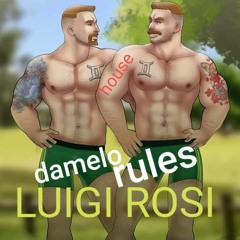 DAMELO RULES - Luigi Rosi