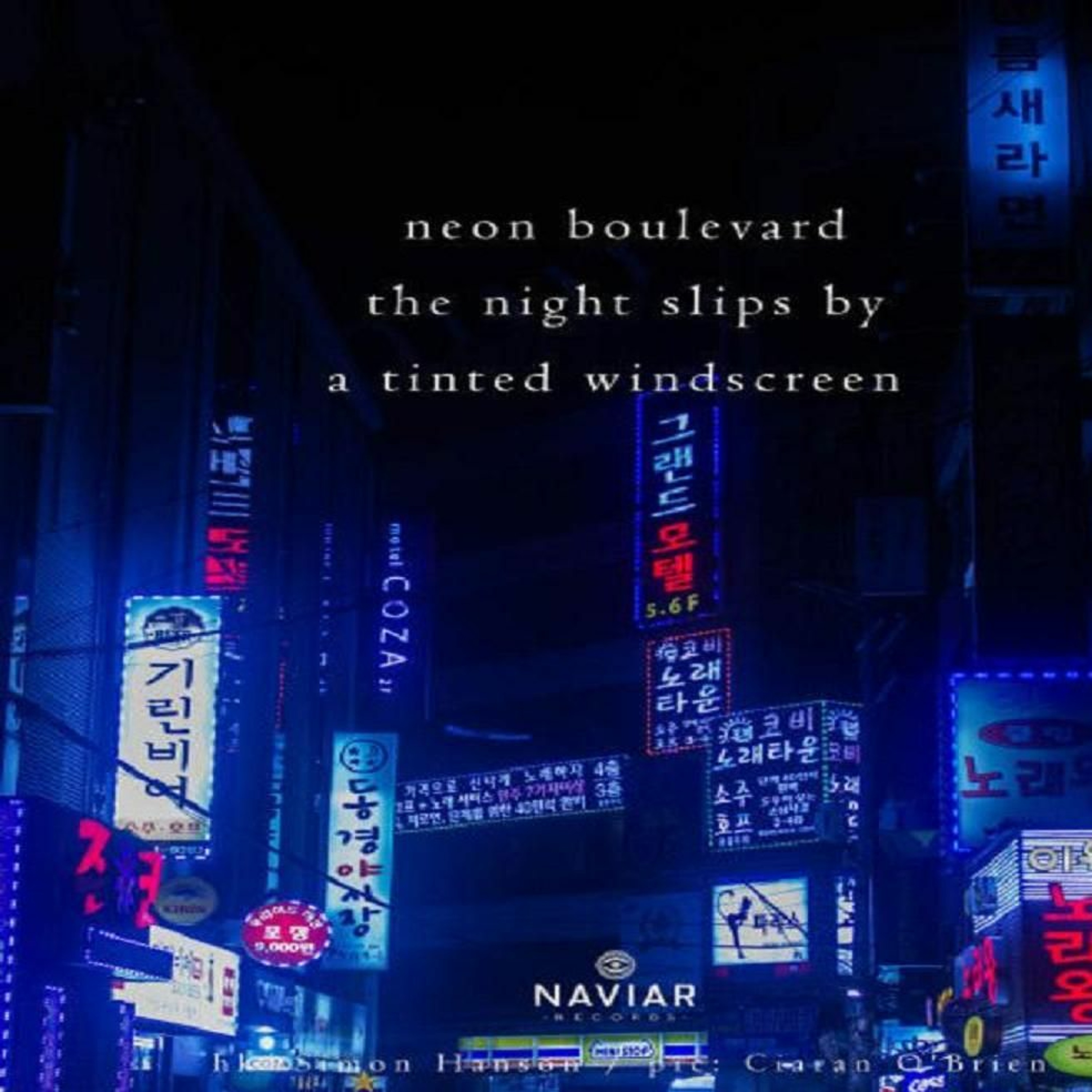 The Night Slips By (Naviarhaiku 266) episode artwork