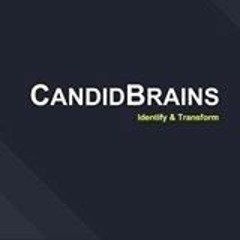 Candidbrains Digital Marketing Training and Jobs