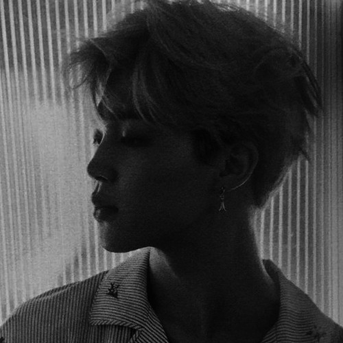 BTS [박지민] Park Jimin - SERENDIPITY (Voice Deeper Version)