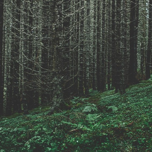 Mikael Lind - Ideas Fade Away