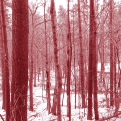 Could It Be? (Prod. Sayf)