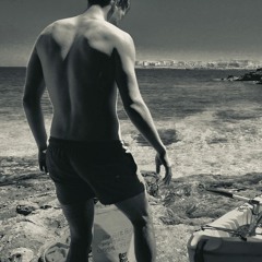 FLY BRAIN INSTRUMENTAL