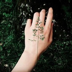 تورّق الصُّبح" - براء زياد مسعود"