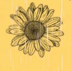 Kuzu Mellow - Sunflower Feelings