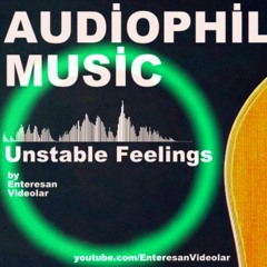 Audiophile Music - Unstable Feelings (FLAC)