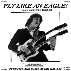 Fly Like An Eagle (Ian Wallace Remix)