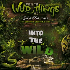 Simon Murphy @ Where the Wild Things Are '19 - Sun Stage
