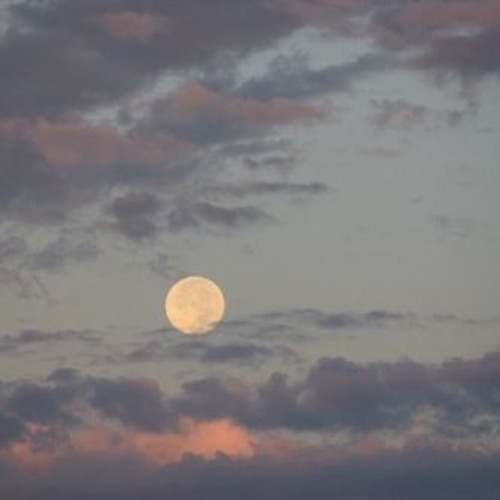 moon and back.