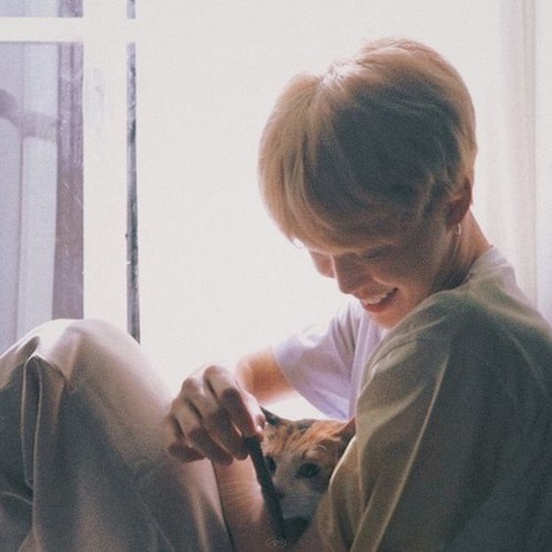 BTS JIMIN ( 지민 ) - Promise ( 약속 )