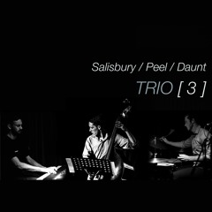 139 Coogee Street - Austin Salisbury Trio ft. Imogen Thomson