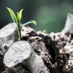 Lo'Kprod  "GUETTELASSOS"