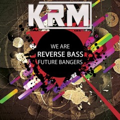 MaRLo & Avao VS Fanatics & Synthsoldier - We Are The Future Banger [KRM's Reverse Bass Mashup Edit]