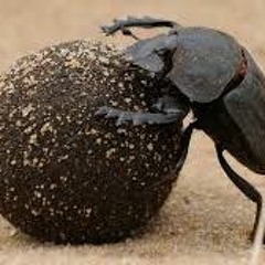 Geballte Scheiße 160BPM.