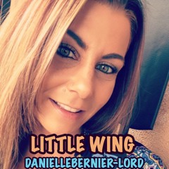 Little Wing