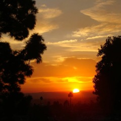 Los Angeles Electric Sunsets Vol.12
