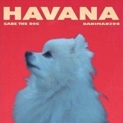 Gabe The Dog - Havana (meme)