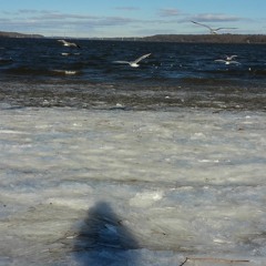 MARY JENSEN - you walk through water JAM!