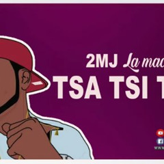 2MJ - Tsa Tsi Tso ! (afrikalandbizz.com)