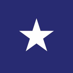 Bonnie Blue Flag