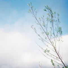 the wentletraps - motorcycle baby (cover)