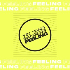 Yin Yang Bangers - Feeling (Original Mix)