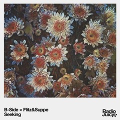 B-Side x Flitz&Suppe - Seeking
