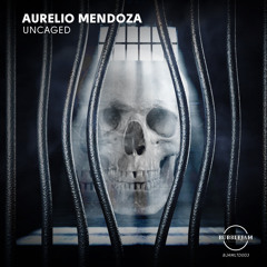 BJAMLTD003 : Aurelio Mendoza - Cueva Negra (Original Mix)