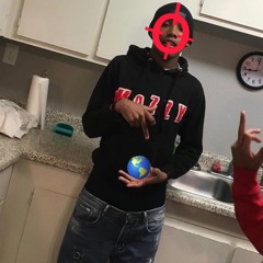 Wolfin On The Net Diss track