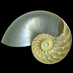 Fibonacci