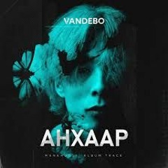 VANDEBO - MEDEEJ Ft MUNKHIIN GOO Lyrics Video HD