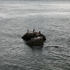 Hayat Adında Bir Rüya