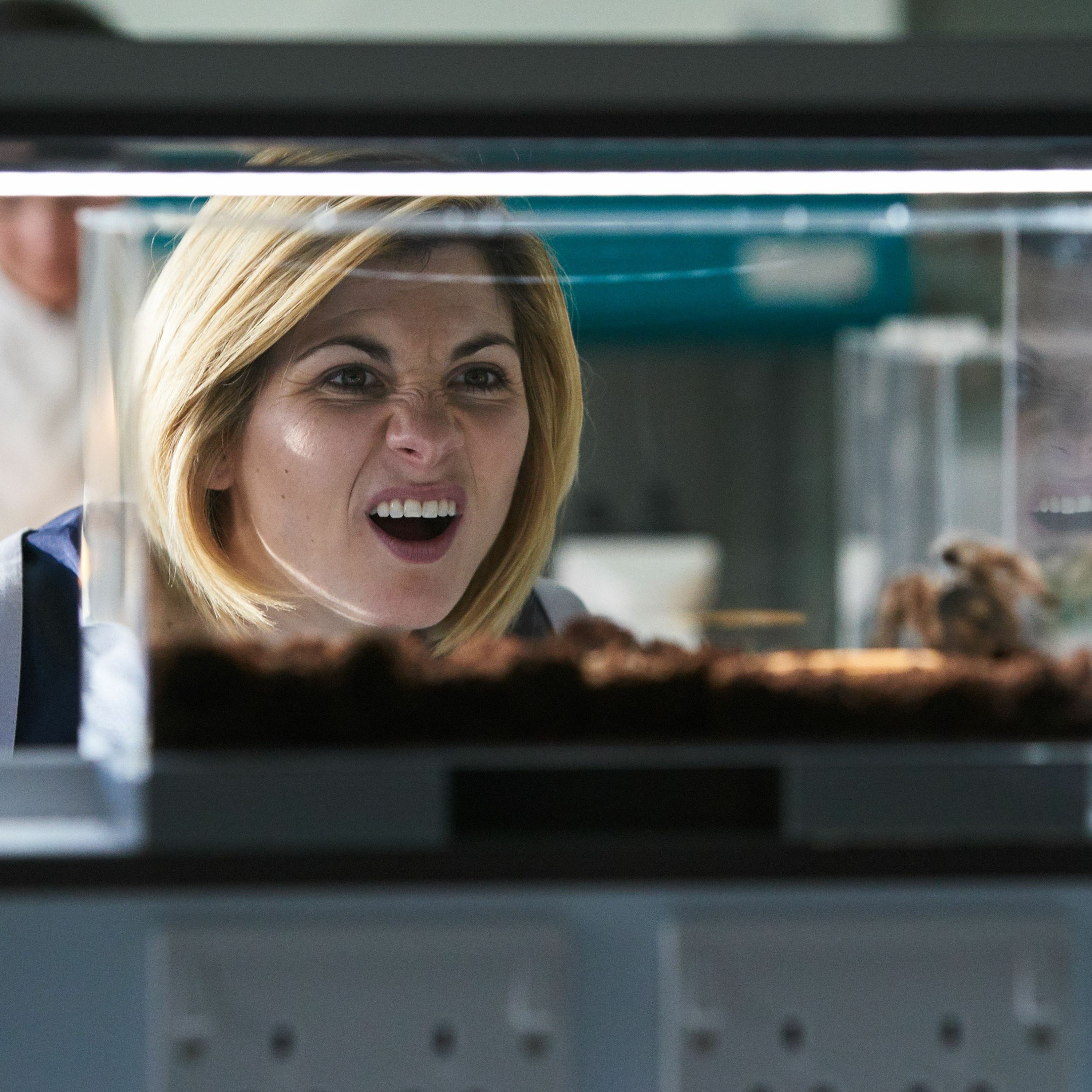 Into The Time Vortex - Episode 86 - Doctor Who - Arachnids In The UK episode artwork