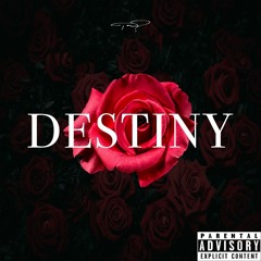 Destiny(prod.by peedee)