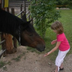 Unejutt hobustest, koertest ja hirmu võitmisest