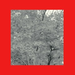EDEN IVY - TAHKO PROD. LSL