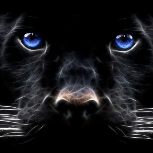 Alive
