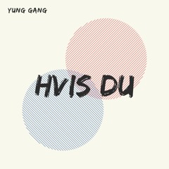 HVIS DU