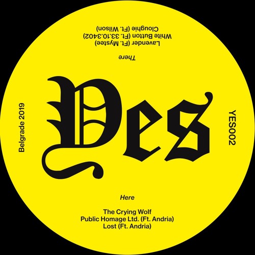 YES002 - Stevie Whisper's Donkey Milk 12"(Preview)