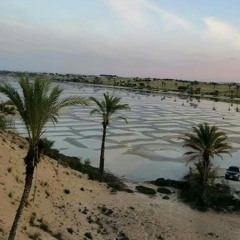 محمود الليثى . الانبياء