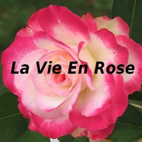 Stream La Vie En Rose ( Piano cover) by JimFitz.... (Music For The ...