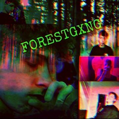 FORESTGVNG (MUSIC VIDEO IN DISC)