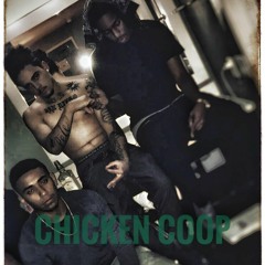 Toolie Trips - Chicken Coop
